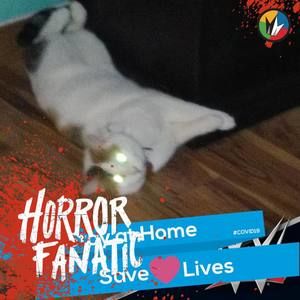 Meet your Posher, Kirk